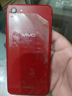 vivo