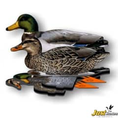 Mallard Foldable, Portable, Shotproof Decoys