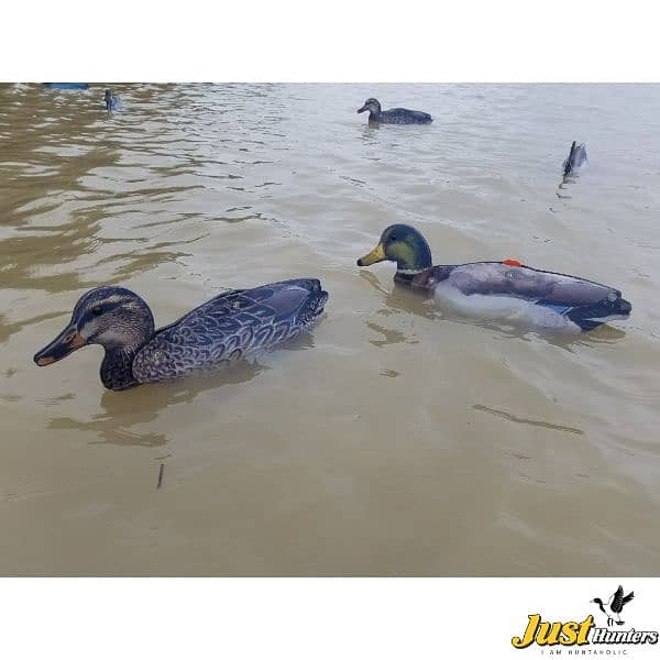 Mallard Foldable, Portable, Shotproof Decoys 1