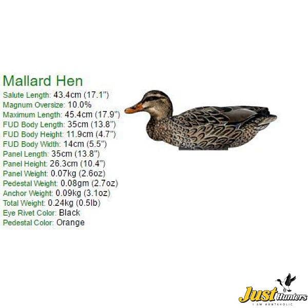 Mallard Foldable, Portable, Shotproof Decoys 2