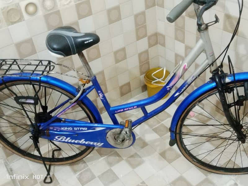 Japanese cycles 3