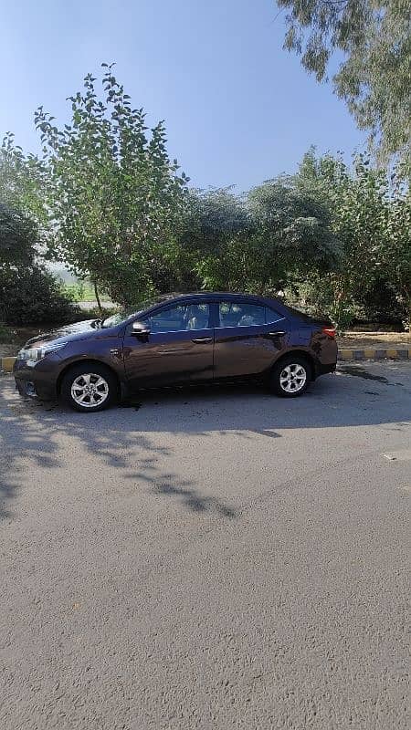 Toyota Altis Grande 2014 4