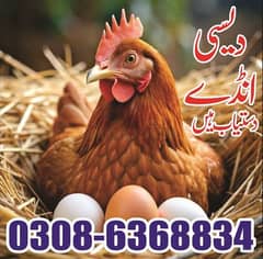 Desi eggs