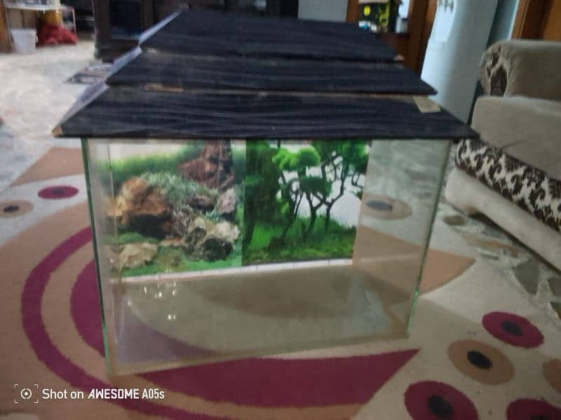 2ft Aquarium 2