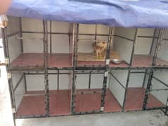 Hen cage new condition