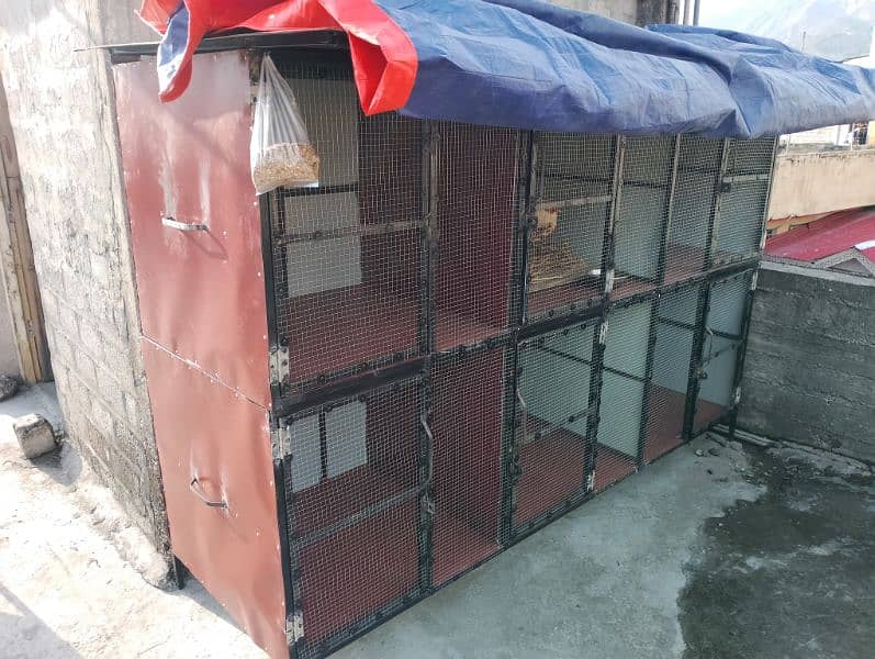 Hen cage new condition 2