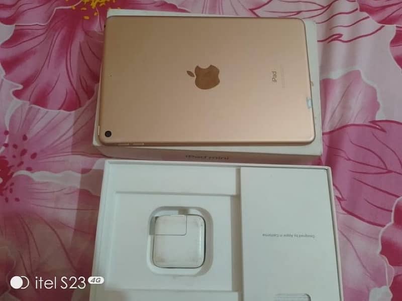 iPad mini 5 0