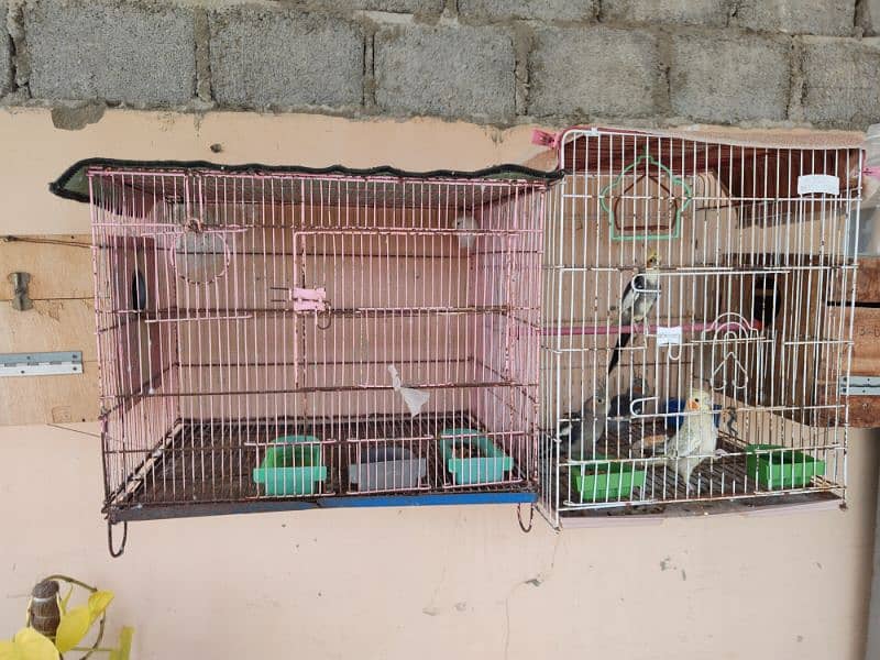 birds with cages 0