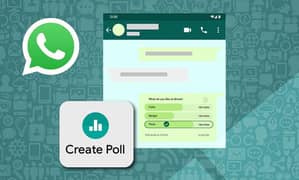 i will provide you real whatsapp poll vote