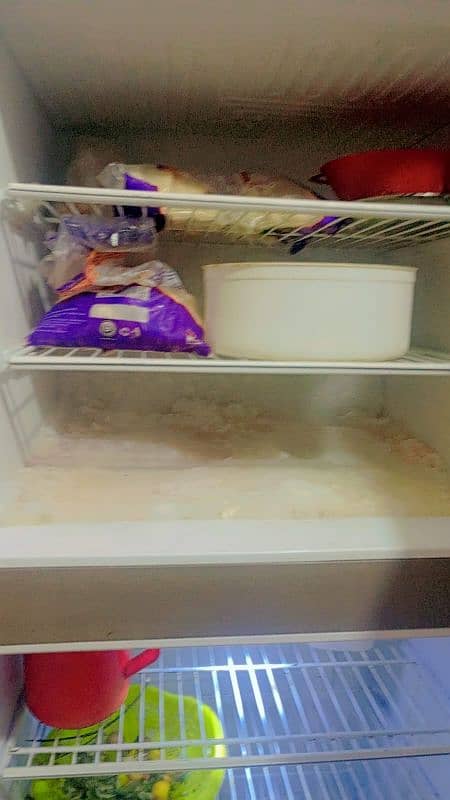 Pel refrigerator 1