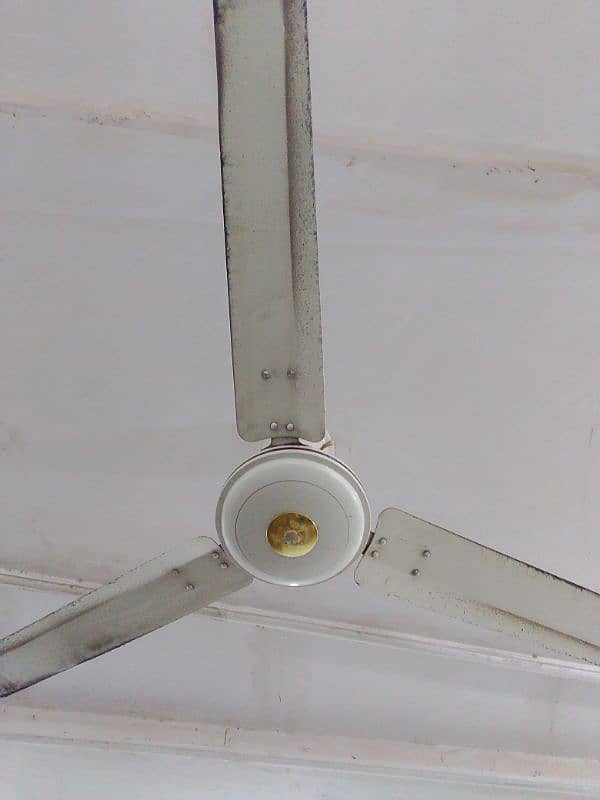 fan seelling 0