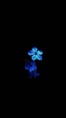 ᏬᏰᏗᎥᎴ ᏖᏗᏂᎥᏒ