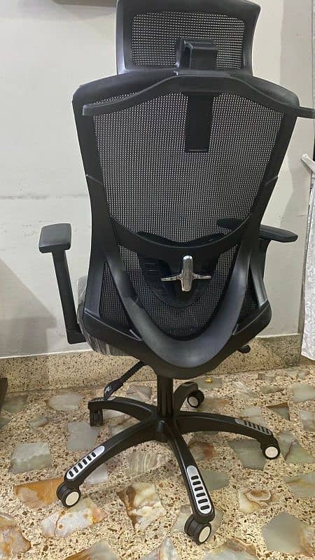 Executive Chair | Imported Chair 2