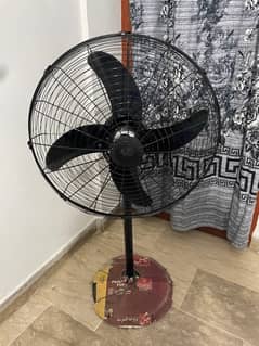 Pedestal Fan