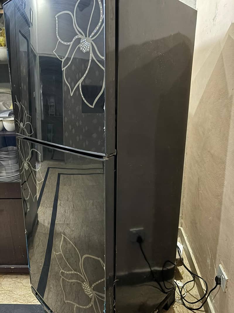 Orient Glass door fridge -12cft - medium size 2