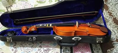 violin