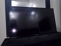 Malaysian led 40"