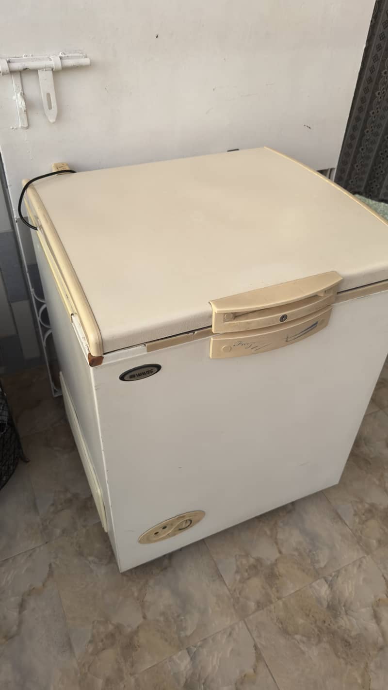 Waves Single Door Deepfreezer 1