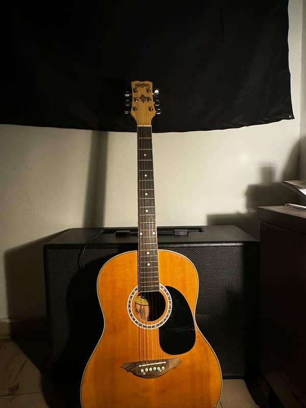 Orignal Washburn Guitar For Sale 0