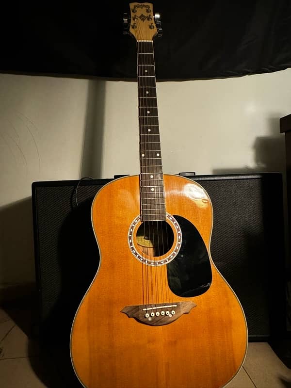 Orignal Washburn Guitar For Sale 5