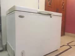 Waves Single Door Deep Freezer For Sale ( New Condition )