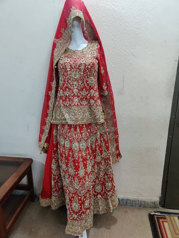 Lehnga Choli and Maxi for sale 3