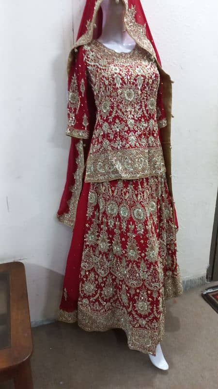 Lehnga Choli and Maxi for sale 6