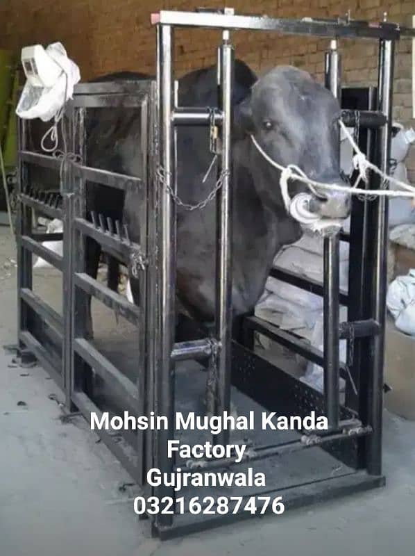 Cow Scale Animal Kanda Bull Computer  Digital Vacha Bakra weight scale 0