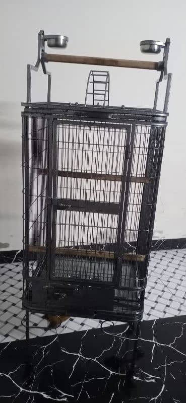 African grey cage 0