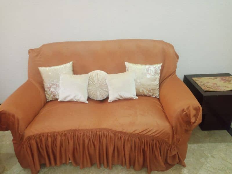 newly poshished sofa 4