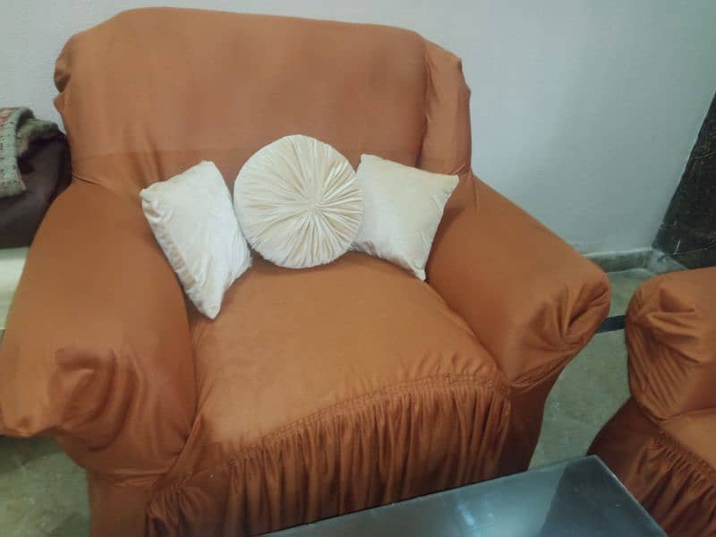 newly poshished sofa 6