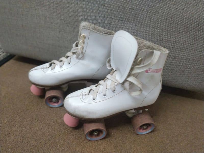 skating shoes with full kit 2