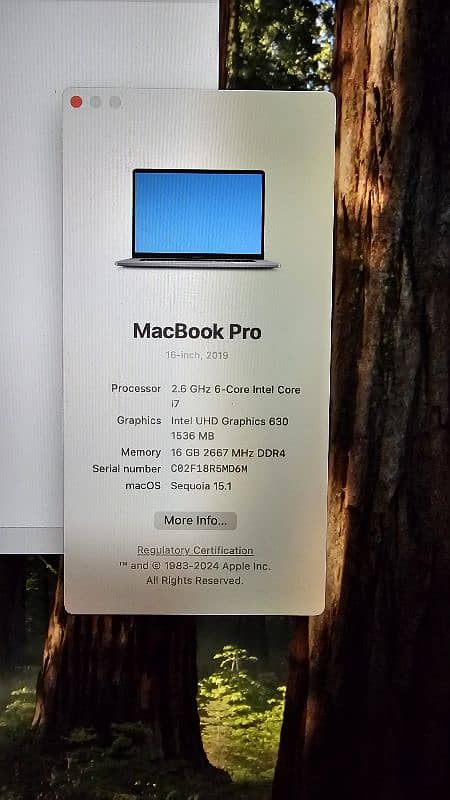 MacBook Pro 2019 (16-inch) 3