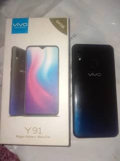 Vivo