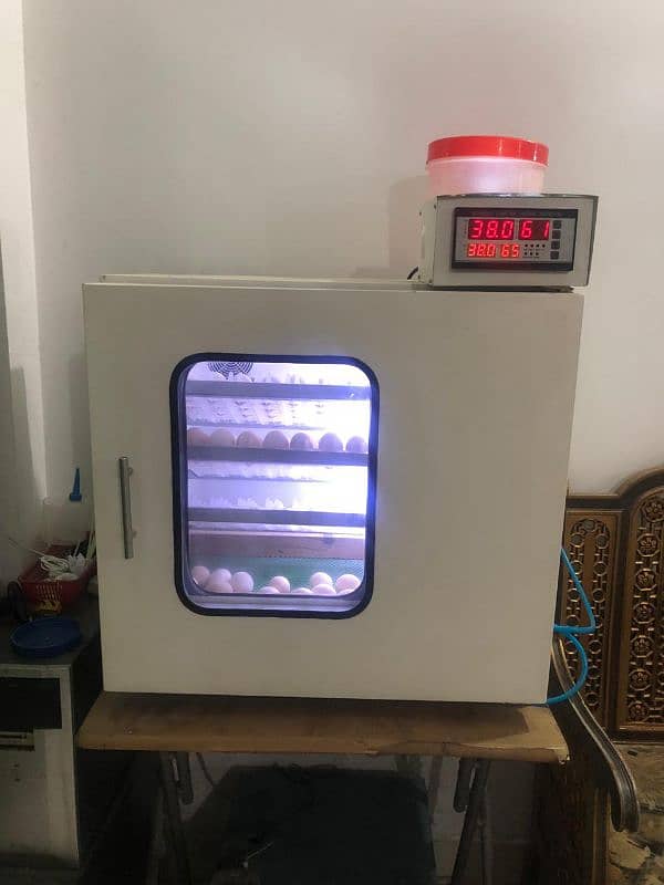 Fully automatic 160 eggs incubator. . . . 3