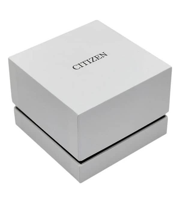 citizen watch 2