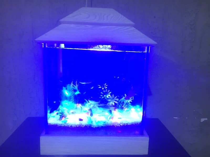 Imported glass aquarium with fishes 0