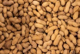 Fresh Mong Phali (Peanut) Cash on Delivery Free