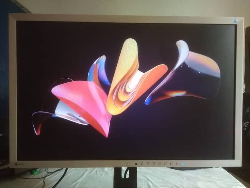 EIZO 24 inch Led Lcd monitor 12