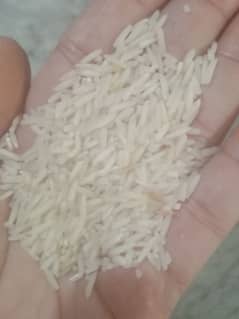 want to sale rice