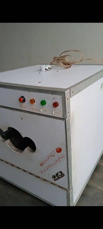 incubator and aseel murgha with thai cross murghi for sale 2