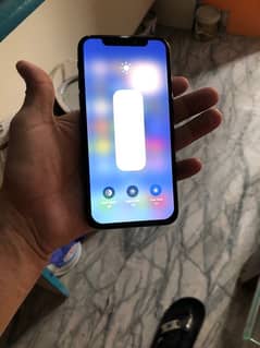 iPhone X Pta approved