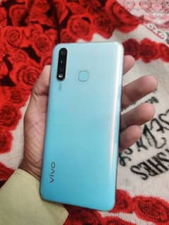 VIVO