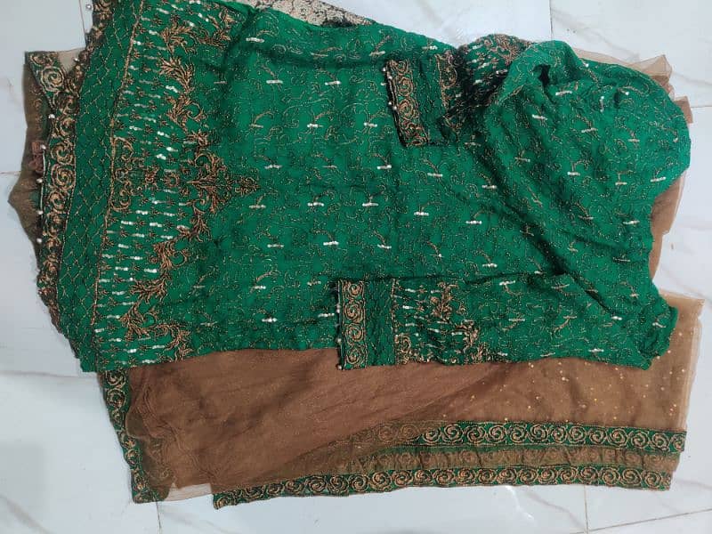 Embroided Shirt with net Garara and Dupata. 2