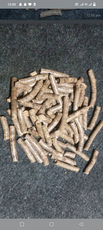 wood pellets Availabal 4