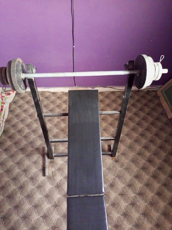 Gym weight plates 4