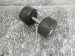 12kg Dumbell Rubber Protected