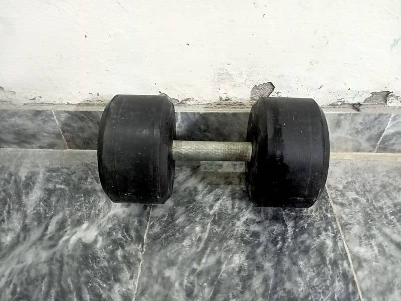 12kg Dumbell Rubber Protected 2