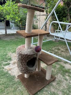 cat play house