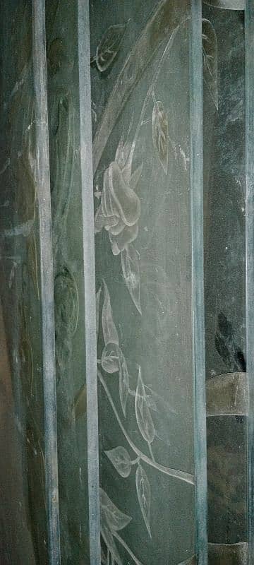 Belgium Glass Doors with Woodeñ Panels 1